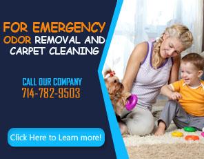 Couch Cleaning - Carpet Cleaning Cypress, CA